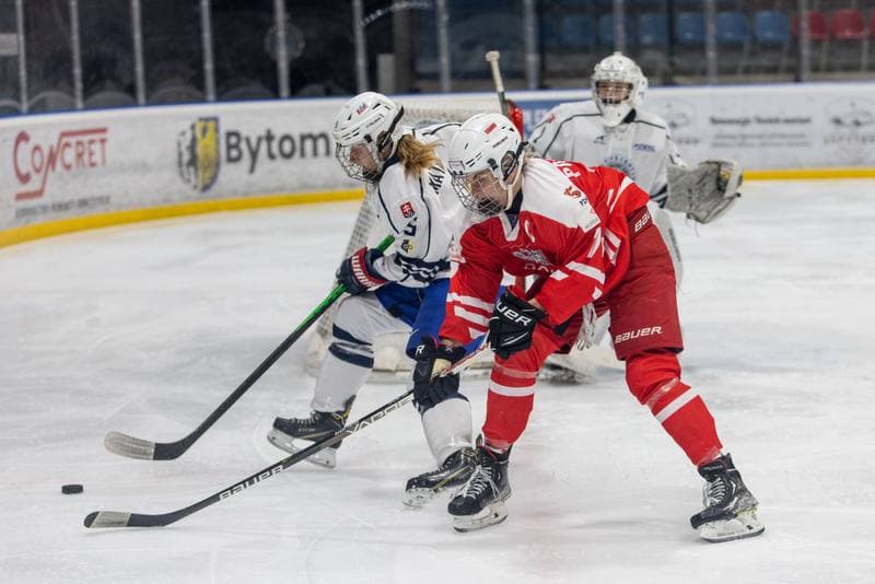 Ice Hockey. EWHL. Orlice Bytom - SKP Bratislava. 19.11.2022