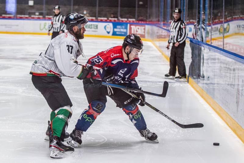 Ice Hockey. Polska Hokej Liga. GKS Tychy - KH Energa Torun. 13.11.2020