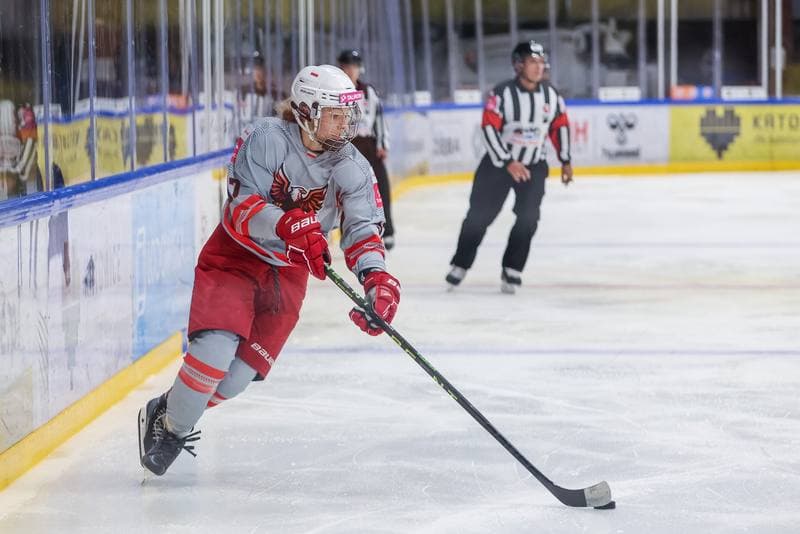 Ice Hockey. EWHL. TAURON Metropolia Silesia - KSV Neuberg Highlanders. 30.09.2023