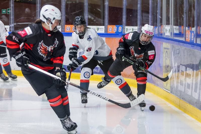 Ice Hockey. EWHL. Tauron Metropolia Silesia - Budapest Jegkorong Akademia. 21.10.2023