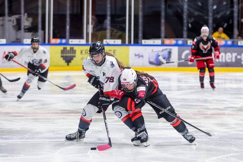 Ice Hockey. EWHL. Tauron Metropolia Silesia - Budapest Jegkorong Akademia. 21.10.2023