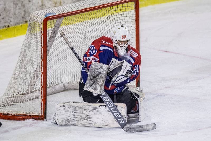 Ice Hockey. PHL. Zaglebie Sosnowiec - KH Energa Torun. 28.01.2022