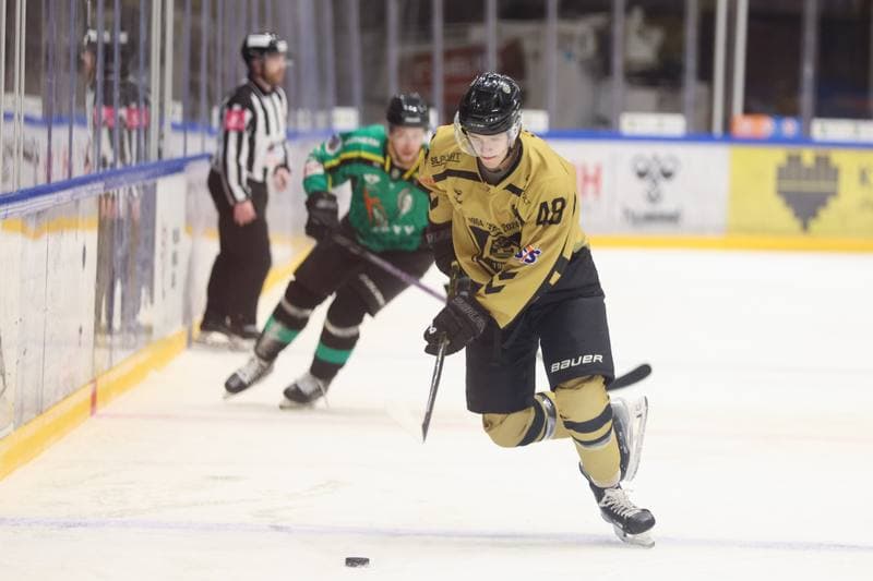 Ice Hockey. Tauron Hokej Liga. GKS Katowice - JKH GKS Jastrzebie. 14.02.2024
