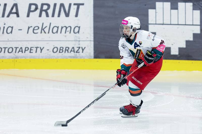 Ice Hockey. Tauron Liga. Kojotki Naprzod Janow - Stoczniowiec Gdansk. 24.02.2024