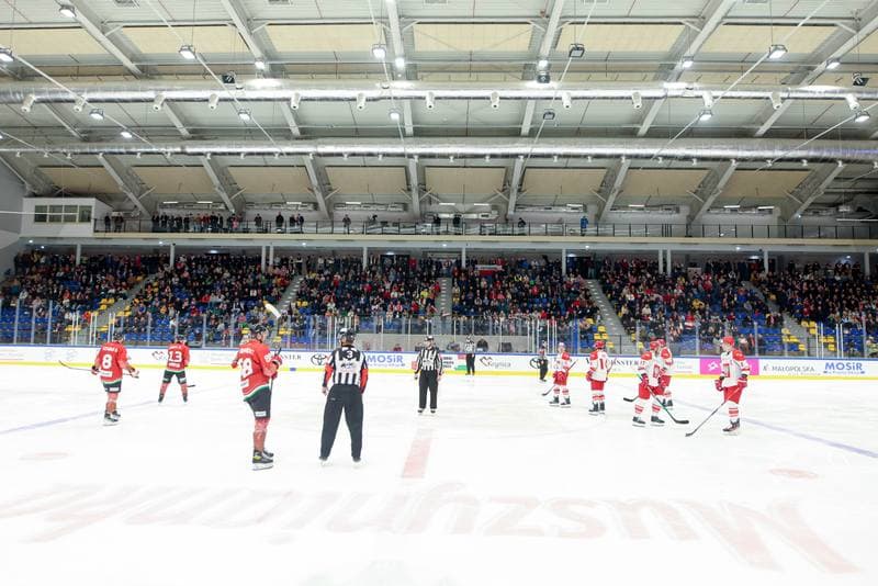 Ice Hockey. Friendly Match. Poland - Hungary. 12.04.2024