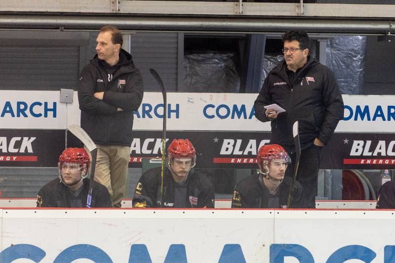 Ice Hockey. PHL. Comarch Cracovia - Zaglebie Sosnowiec. 02.11.2022