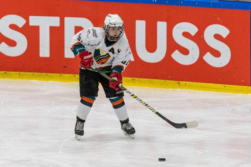 Ice Hockey. PLHK. Kojotki Naprzod Janow - MMKS Podhale Nowy Targ. 12.11.2022