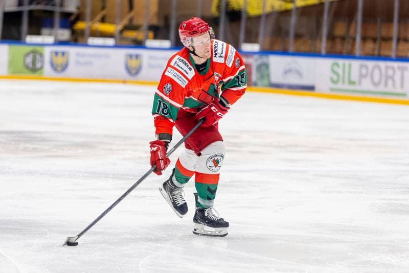 Ice Hockey. PHL. GKS Katowice - Zaglebie Sosnowiec. 29.11.2022