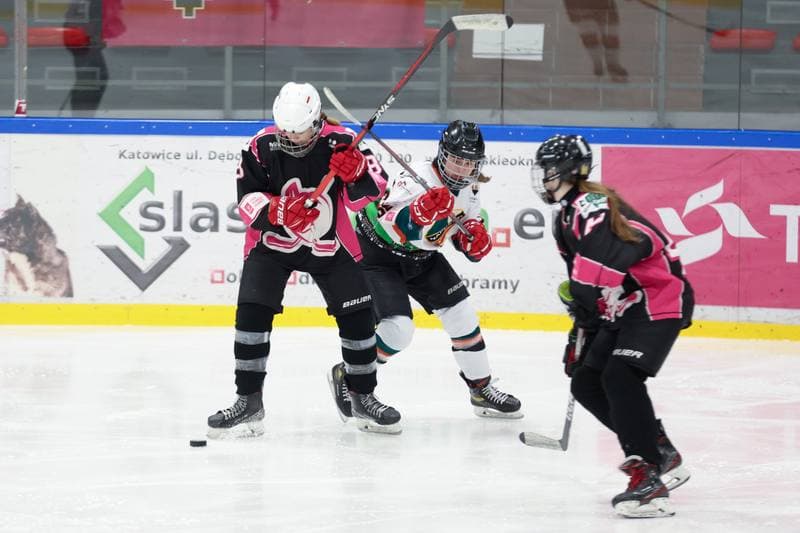 Ice Hockey. Tauron Liga Hokeja Kobiet. Kojotki Naprzod Janow - Kozice Poznan. 20.01.2024