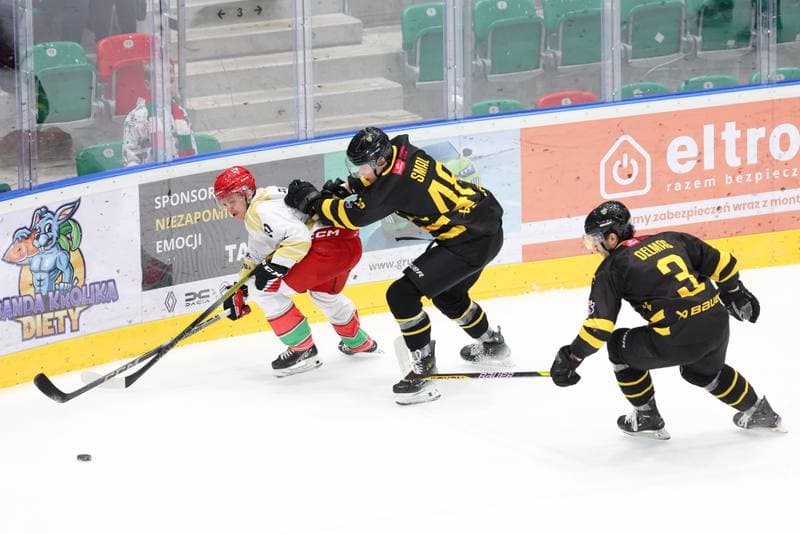Ice Hockey. Tauron Hokej Liga. Zaglebie Sosnowiec - GKS Katowice. 21.01.2024