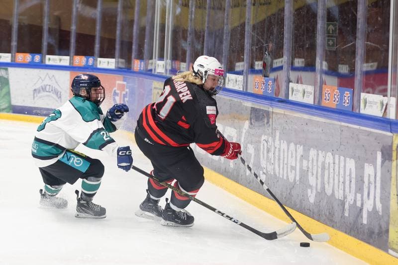 Ice Hockey. EWHL. Tauron Metropolia Silesia - KEHV Lakers. 04.02.2024