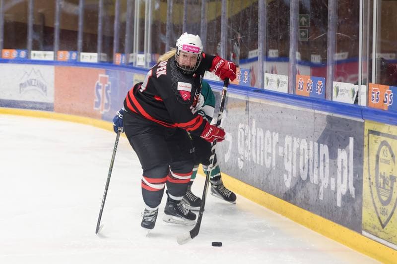 Ice Hockey. EWHL. Tauron Metropolia Silesia - KEHV Lakers. 04.02.2024