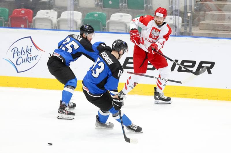 Ice Hockey. Olympic Qualification. Poland - Estonia. 08.02.2024