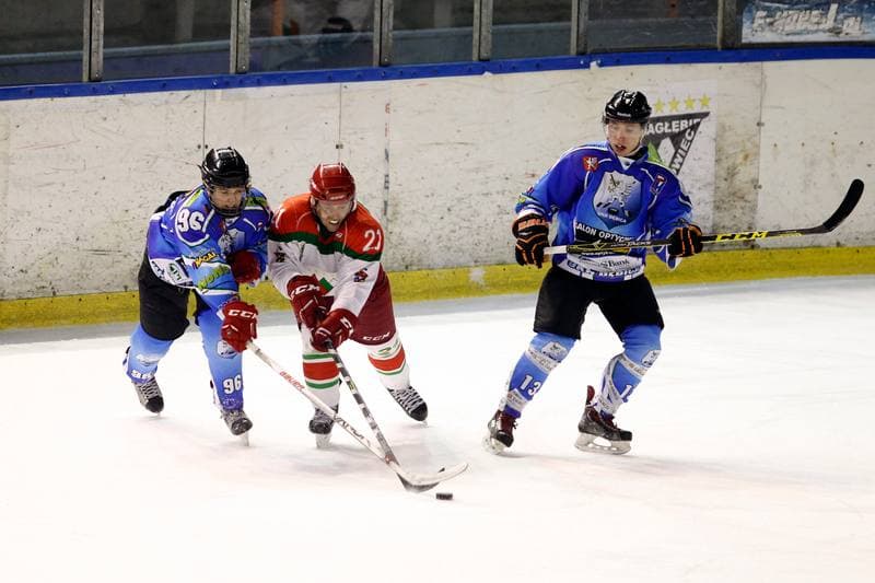 Ice Hockey. I Liga. Zaglebie Sosnowiec - UKH Debica. 18.02.2017