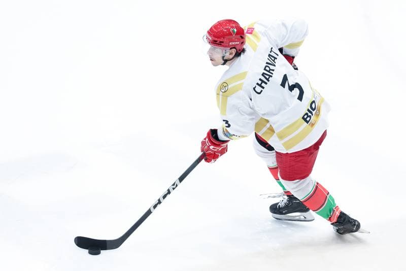 Ice Hockey. Tauron Hokej Liga. Zaglebie Sosnowiec - PZU Podhale Nowy Targ. 14.02.2024
