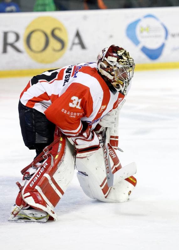 Ice Hockey. Polish Hockey League. GKS Tychy - Comarch Cracovia. 18.03.2016