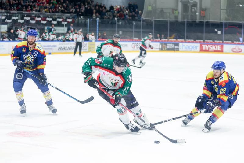 Ice Hockey. Tauron Hokej Liga. GKS Tychy - PZU Podhale Nowy Targ. 01.03.2024