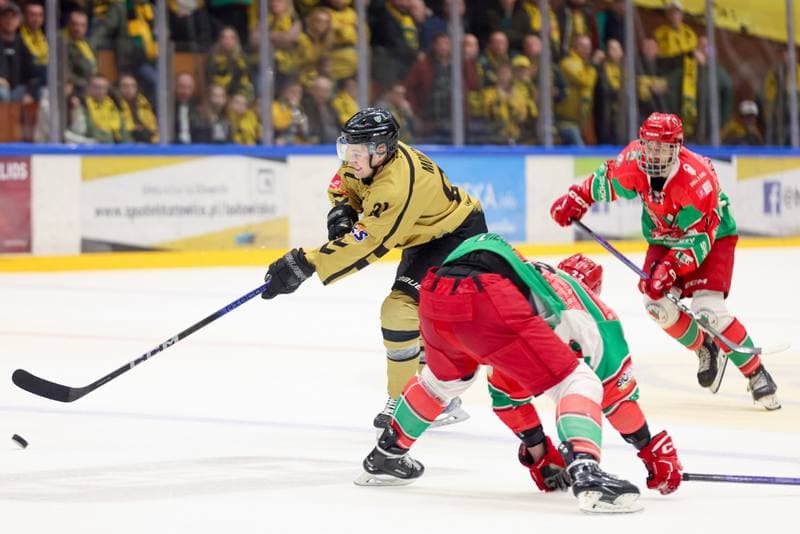 Ice Hockey. Tauron Hokej Liga. GKS Katowice - Zaglebie Sosnowiec. 02.03.2024