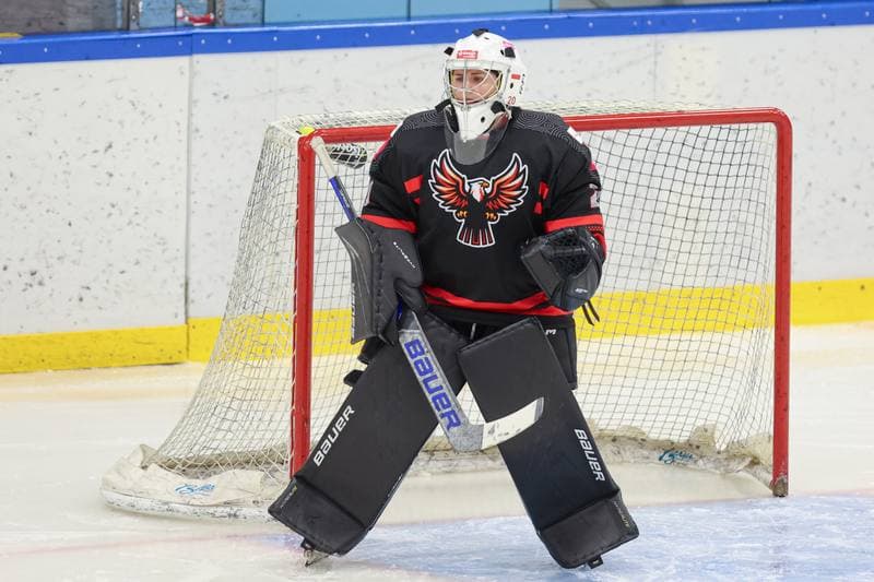 Ice Hockey. EWHL. Tauron Metropolia Silesia - EC Graz Huskies. 02.03.2024