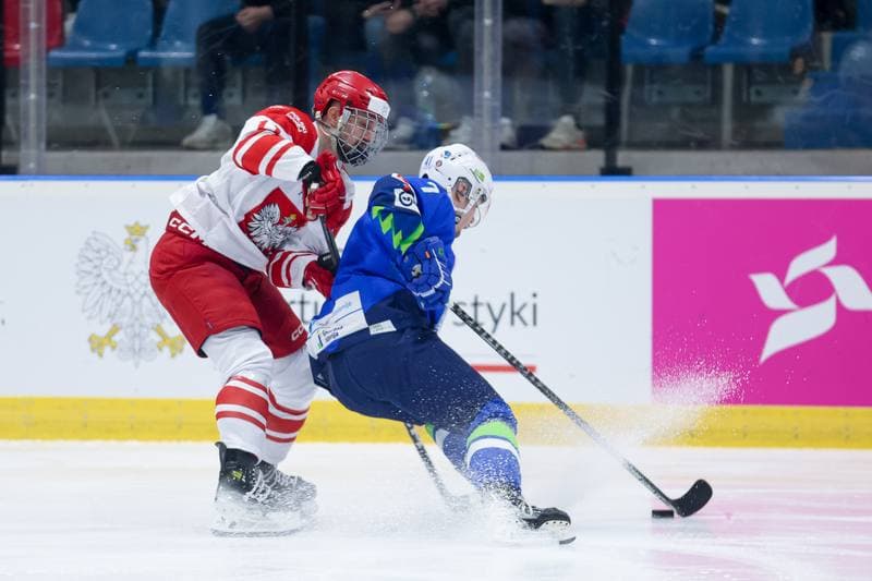 Ice Hockey. Friendly Match. Poland - Slovenia. 18.04.2024