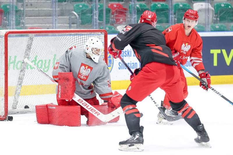 Ice Hockey. Poland national team. Training. 06.05.2024