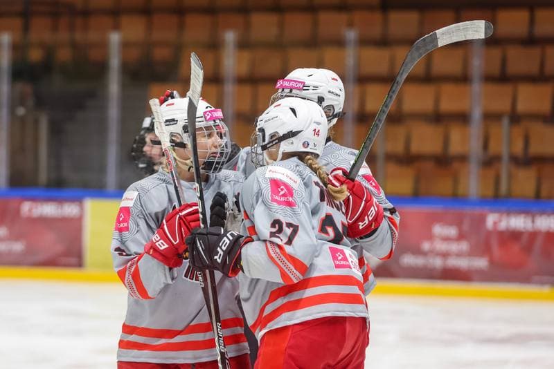 Ice Hockey. EWHL. TAURON Metropolia Silesia - KSV Neuberg Highlanders. 30.09.2023