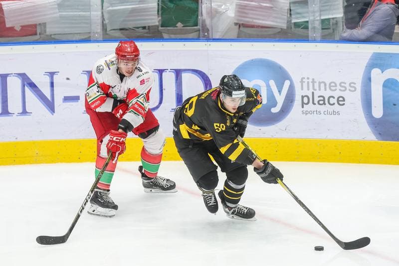 Ice Hockey. Tauron Hokej Liga. Zaglebie Sosnowiec - GKS Katowice. 03.11.2023
