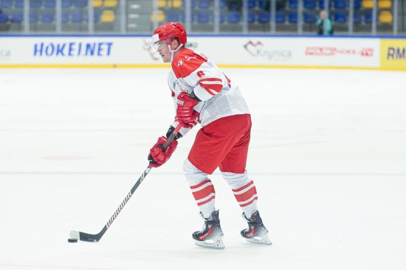 Ice Hockey. Friendly Match. Poland - Hungary. 12.04.2024
