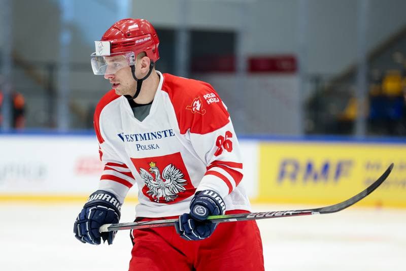 Ice Hockey. Friendly Match. Poland - Hungary. 13.04.2024