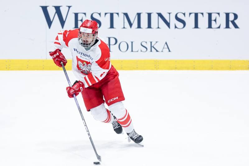 Ice Hockey. Friendly Match. Poland - Slovenia. 18.04.2024
