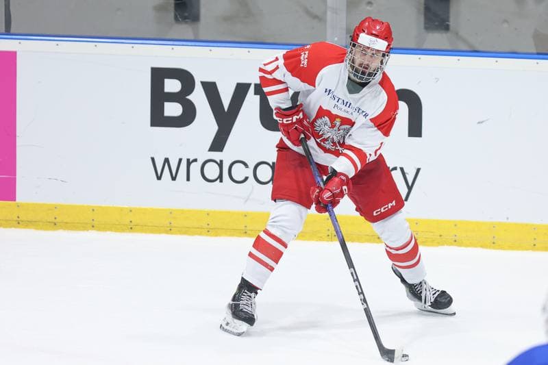 Ice Hockey. Friendly Match. Poland - Slovenia. 18.04.2024