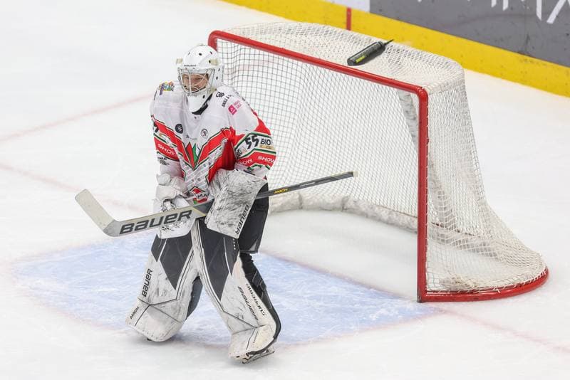 Ice Hockey. Tauron Hokej Liga. Zaglebie Sosnowiec - Comarch Cracovia. 19.11.2023