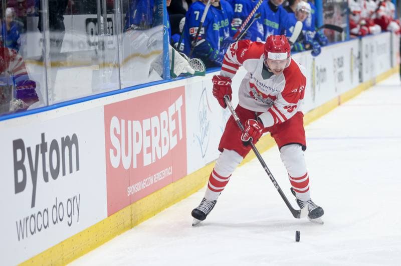 Ice Hockey. Friendly Match. Poland - Slovenia. 19.04.2024