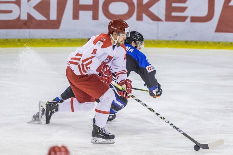 Ice Hockey. Three Seas Tournament. Poland - Estonia. 18.04.2021