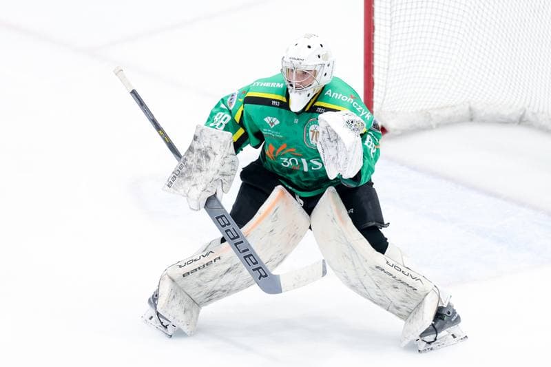 Ice Hockey. Tauron Hokej Liga. Zaglebie Sosnowiec - JKH GKS Jastrzebie. 05.01.2024