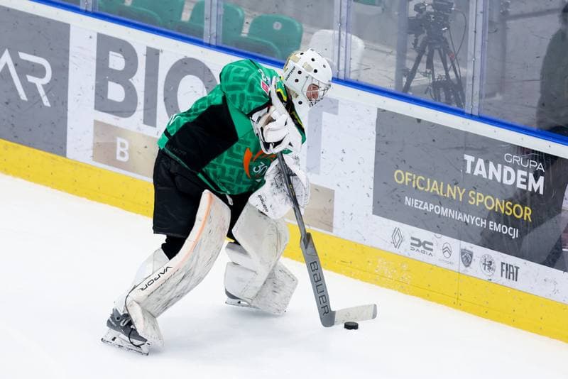 Ice Hockey. Tauron Hokej Liga. Zaglebie Sosnowiec - JKH GKS Jastrzebie. 05.01.2024