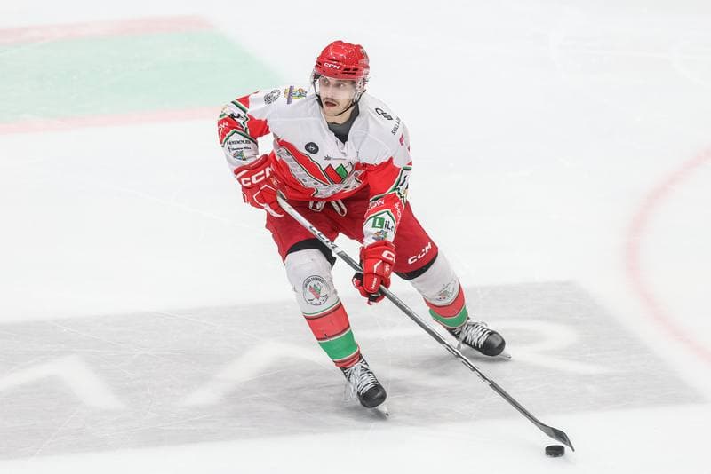 Ice Hockey. Tauron Hokej Liga. Zaglebie Sosnowiec - Comarch Cracovia. 19.11.2023