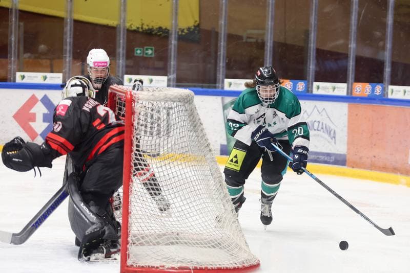 Ice Hockey. EWHL. Tauron Metropolia Silesia - KEHV Lakers. 04.02.2024