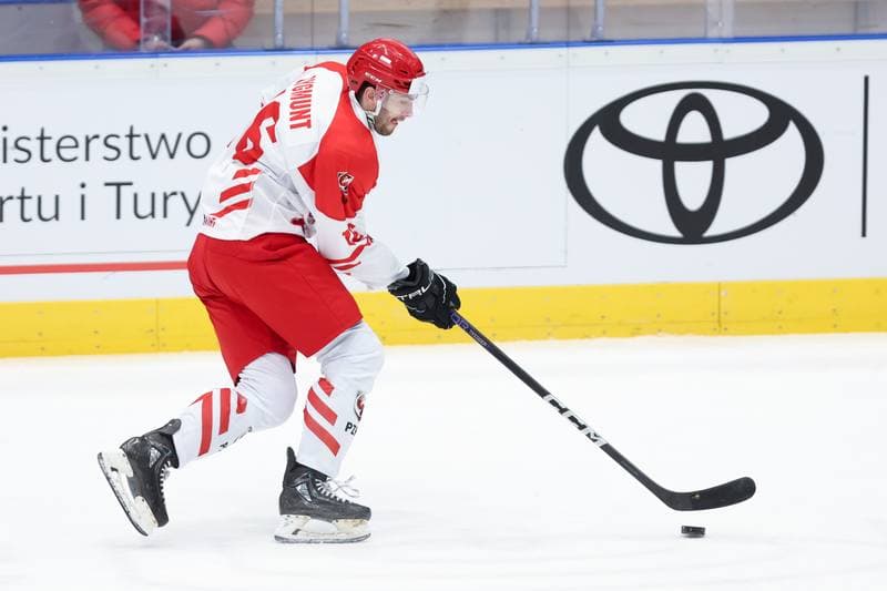 Ice Hockey. Friendly Match. Poland - South Korea. 05.02.2024