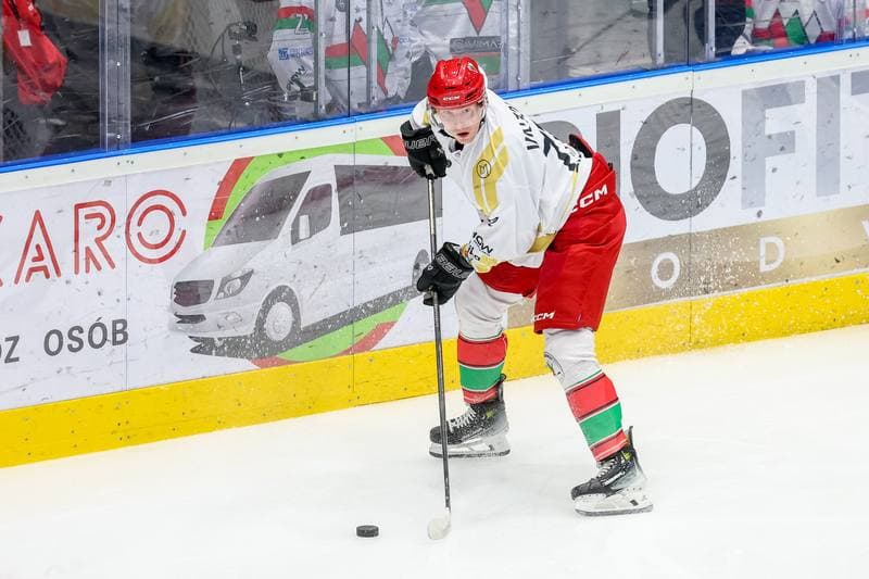 Ice Hockey. Tauron Hokej Liga. Zaglebie Sosnowiec - PZU Podhale Nowy Targ. 03.12.2023