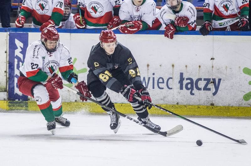 Ice Hockey. PHL. Zaglebie Sosnowiec - Comarch Cracovia. 04.12.2020