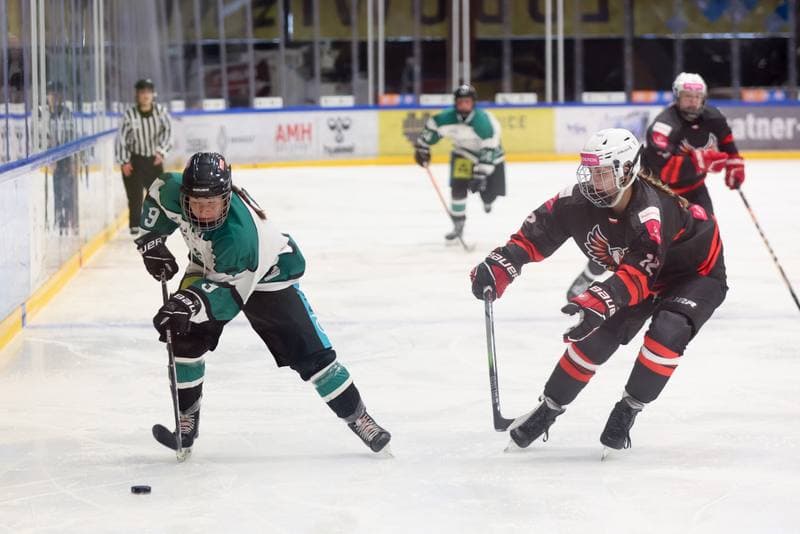 Ice Hockey. EWHL. Tauron Metropolia Silesia - KEHV Lakers. 04.02.2024