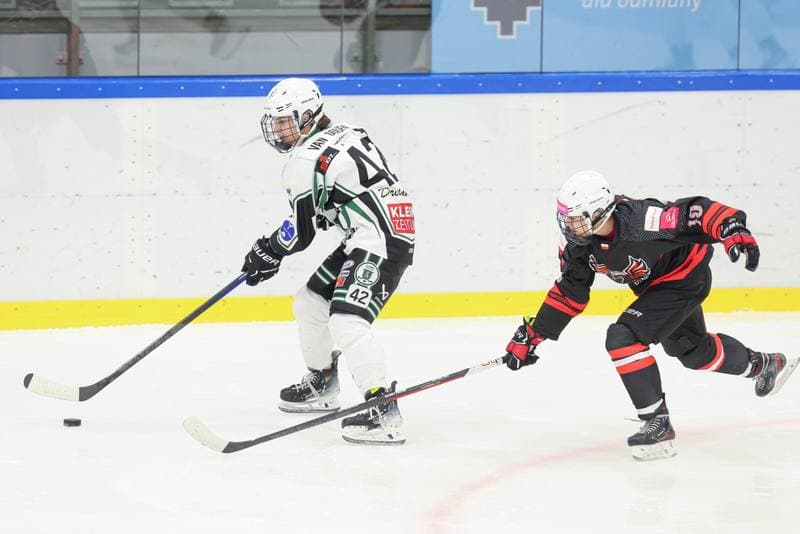 Ice Hockey. EWHL. Tauron Metropolia Silesia - EC Graz Huskies. 02.03.2024