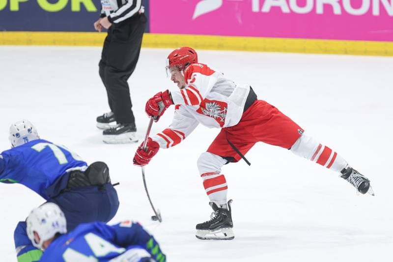 Ice Hockey. Friendly Match. Poland - Slovenia. 18.04.2024