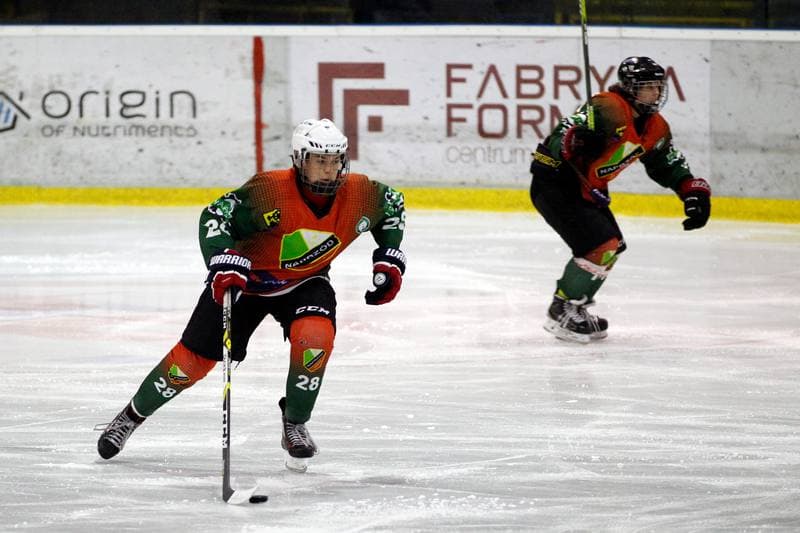 Ice Hockey. PLHK. Polonia Bytom - Naprzod Janow. 21.10.2017