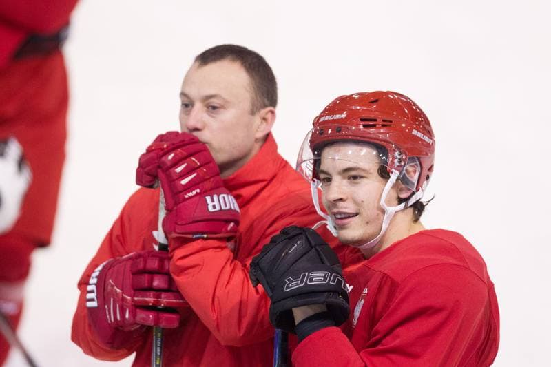 Ice Hockey. Poland national team. Training. 14.12.2020