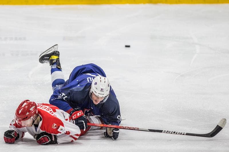Ice Hockey. EIHC Christmas Cup. Poland - France. 16.12.2021