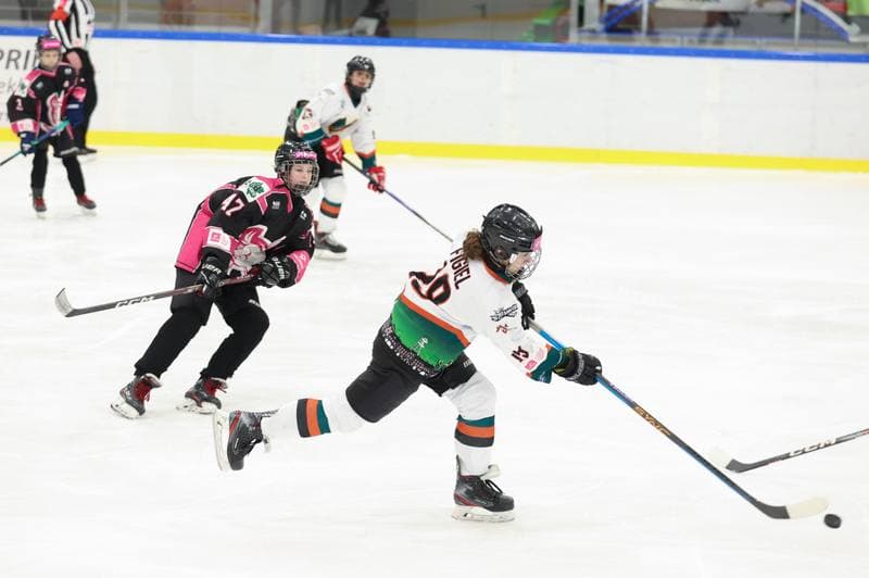 Ice Hockey. Tauron Liga Hokeja Kobiet. Kojotki Naprzod Janow - Kozice Poznan. 20.01.2024