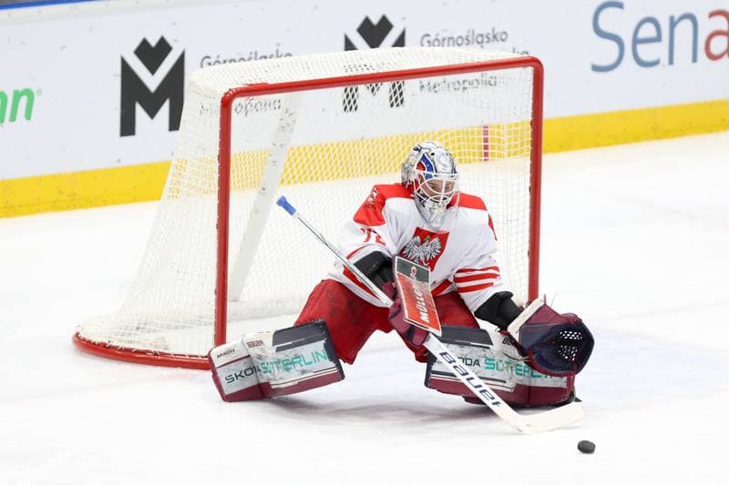 Ice Hockey. Olympic Qualification. Poland - Estonia. 08.02.2024