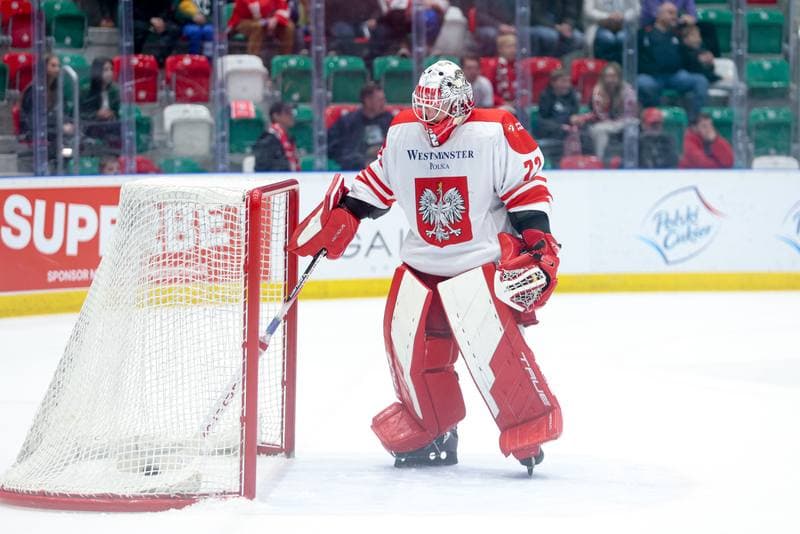 Ice Hockey. Friendly Match. Poland - Denmark. 07.05.2024